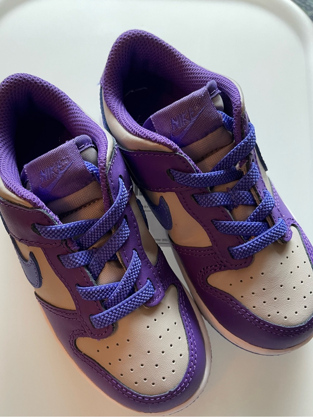 Nike Dunk Low Purple/Gray/Blue